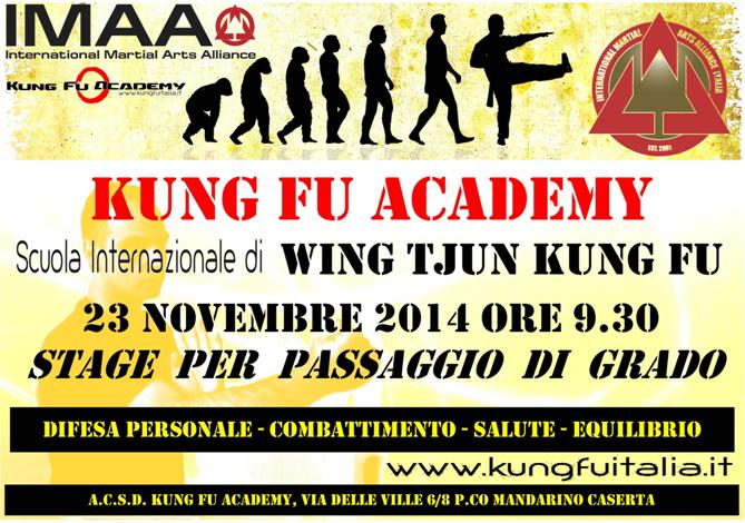 IMAA International martial arts alliance Wing Tjun Kung Fu Academy Luxemburg 2014 www.kungfudeutschland.de www.kungfuitalia.it Leonberg Italia Chun Tsun Brazilian Jiu Jitsu Escrima CASERTA